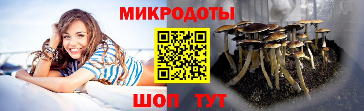 Галлюциногенные грибы MAGIC MUSHROOMS  Вход с VPN  Новокуйбышевск 